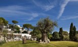 Garden & Villas Resort