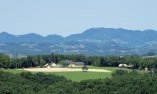 Pule Estate - Posestvo Pule - Sud-Est della Slovenia - Trebelno