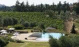 Sole del Chianti - Tuscany - Tavarnelle Val di Pesa