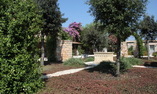 Masseria Baroni Nuovi - Apulien - Brindisi