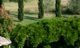 Tenuta Di Canonica - Umbria - Todi