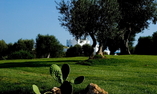 Masseria Torre Maizza, Apulia, Fasano