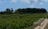 Baglio Span�, Sicilia, Marsala