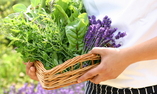 Lainston House Hotel - S�dostengland - Winchester
