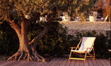 Domaine des And�ols - Provence Alpes C�te d'Azur - Saint-Saturnin-l�s-Apt