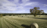 Ballathie House Hotel - Perthshire, Angus, Dundee y el reino de Fife - Stanley