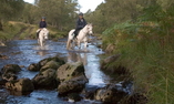 Alladale Wilderness Lodge & Reserve - Le Highlands Scozzesi - Ardgay