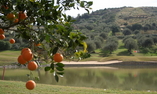 Le Madonie Golf Resort, Sicily, Collesano