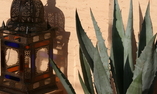 Riad el Ouarda - Marrakech e dintorni - Marrakech