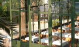 H�tel Castel Brando - Corsica - Erbalunga
