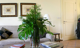 Hotel Almenara - Andalusien - San Roque