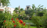 Riad Alkantara Maison d'h�tes - F�s - F�s