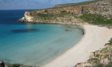 La Calandra - Sicilia - Lampedusa Isola