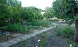 Son Siurana - �les Bal�ares - Majorque