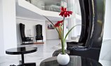 Axel Hotel Barcelona & Urban Spa - Catalu�a - Barcelona