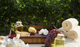 Hotel Grand Barrail Ch�teau Resort & Spa - Aquitania - Saint-�milion