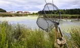 Turnberry, A Luxury Collection Resort - La Scozia meridionale - Turnberry