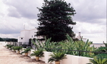 Villa Rodogallo, Puglia, Sannicola