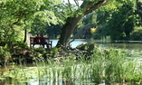 Swinton Park - Le Nord de l'Angleterre - Masham