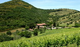 Villa di Monte Solare, Umbria, Panicale