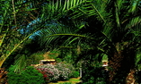 Is Molas Resort, Sardinia, Pula