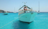 La Calandra - Sicilia - Lampedusa Isola