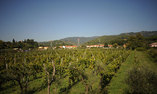 Tenuta La Ghiaia - Ligurien - Sarzana