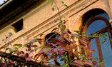 Villa Armena Relais & Beauty Farm - Toscane - Buonconvento