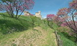 Castello Orsini Hotel Nerola - Lazio - Nerola