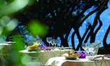 Is Morus Relais, Sardegna, Pula