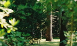 Ch�teau de Montvillargenne - Picardie - Chantilly - Gouvieux