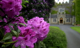 Waterford Castle Hotel Golf Club - Le Sud-Est de l'Irlande - Waterford