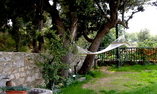 Baglio San Pietro, Sicily, Nicosia