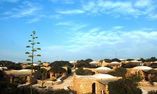 Villaggio Albergo I Dammusi di Borgo Cala Creta - Sicily - Lampedusa Island