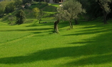 Castello Montegiove, Marche, Fano