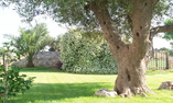 Abate Masseria & Resort, Puglia, Noci
