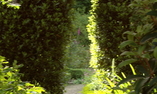 Cashel House Hotel - La regione dello Shannon - Cashel