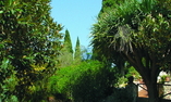 Excelsior Palace Hotel Taormina, Sicily, Taormina