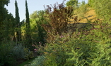 Hotel Le Fontanelle, Toscana, Castelnuovo Berardenga