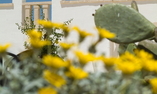 Borgobianco Resort & Spa - Puglia - Polignano a Mare