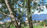 Residence Ca' del Lago - Lago di Garda - Torri del Benaco