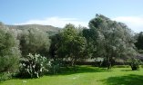Son Siurana - �les Bal�ares - Majorque