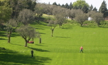 Castello Montegiove, Marche, Fano