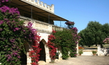 Masseria Salamina, Apulia, Fasano