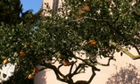 Baglio Span�, Sicilia, Marsala