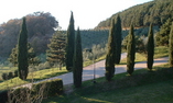 Sant Antonio Country resort - Tuscany - Montepulciano