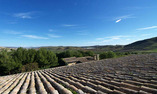 Farm Ospitalit� di Campagna - Sicile - Butera