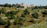 Tenuta Cammarana - Sicilia - Ragusa