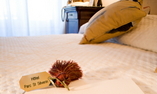 H�tel Parc Saint S�verin - Paris Ile-de-France - Par�s