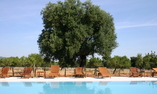 Masseria Salamina, Apulia, Fasano
